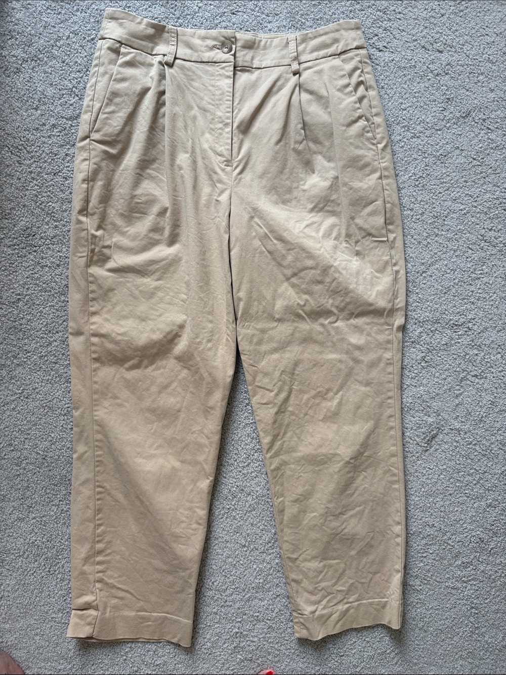 Express Beige Pleated Chino Pants